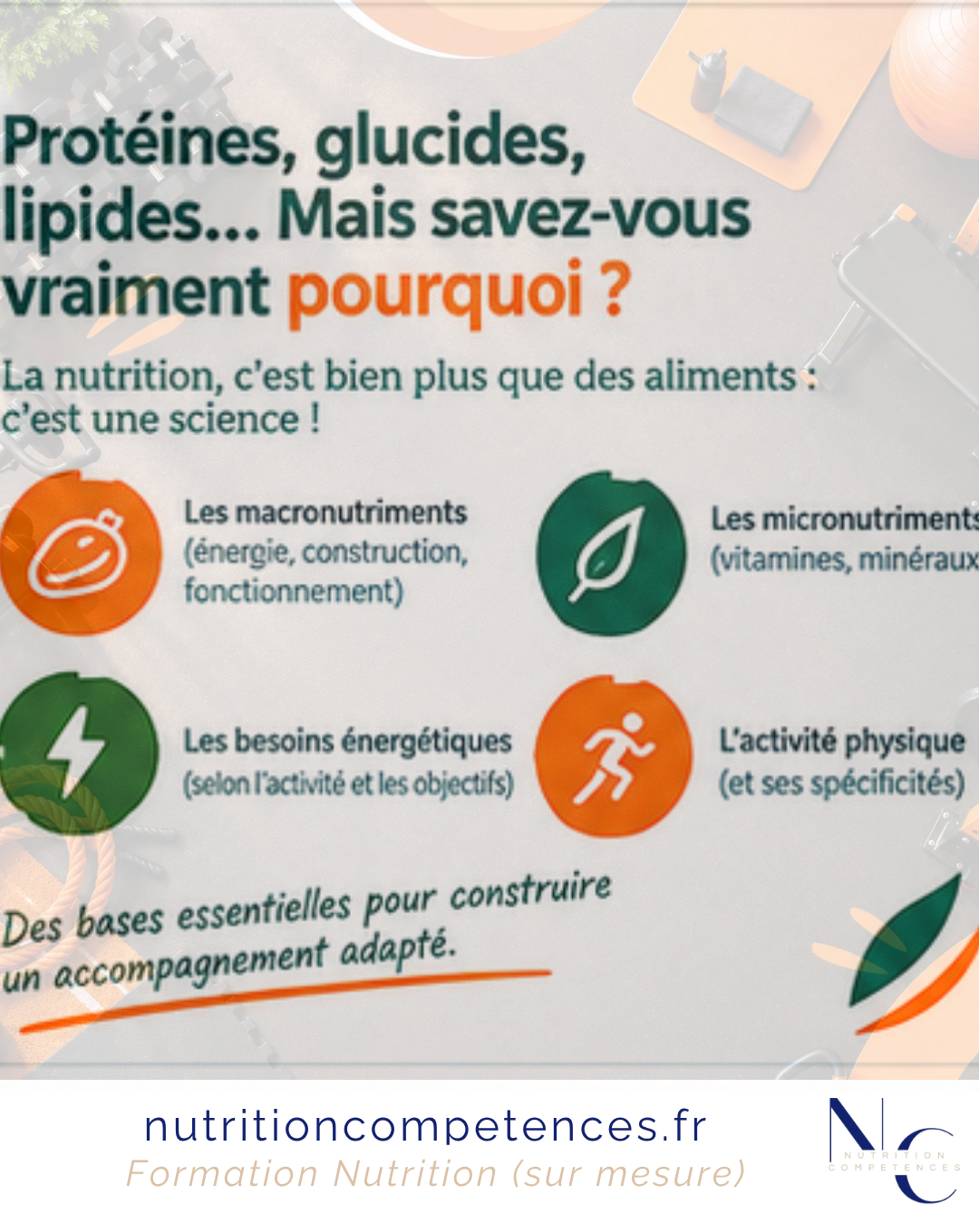 Macronutriments et micronutriments en nutrition